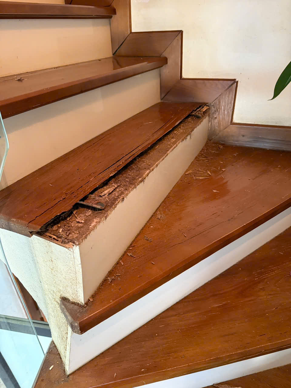 mặt bậc gỗ tự nhiên mặt bậc gỗ tự nhiên