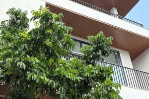 Nhà nắng mưa đã có trần nhôm – Xu hướng mới cho không gian sống hiện đại